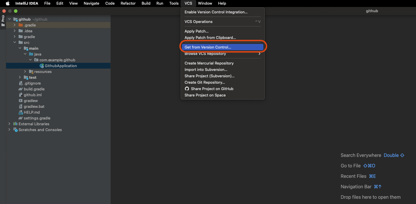 1번 - VCS -> Get from Version Control (클릭)