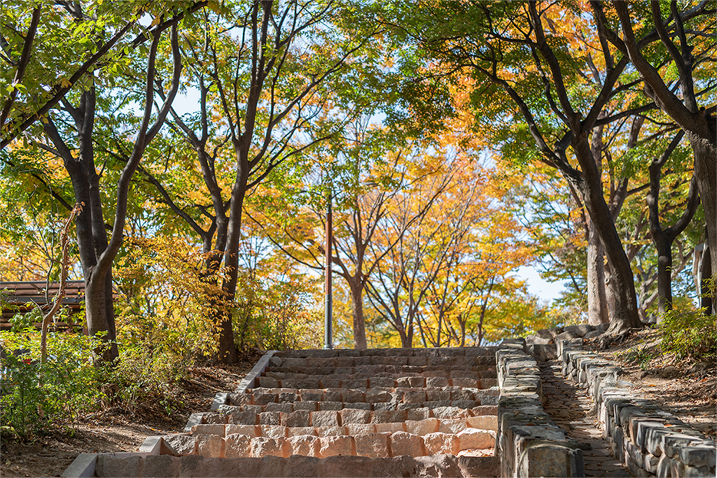 혜화문
성북동
한양도성길
백악구간
서울여행
서울단풍
가을단풍
단풍