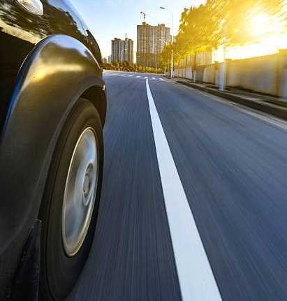 815-광복절-특별사면-조회