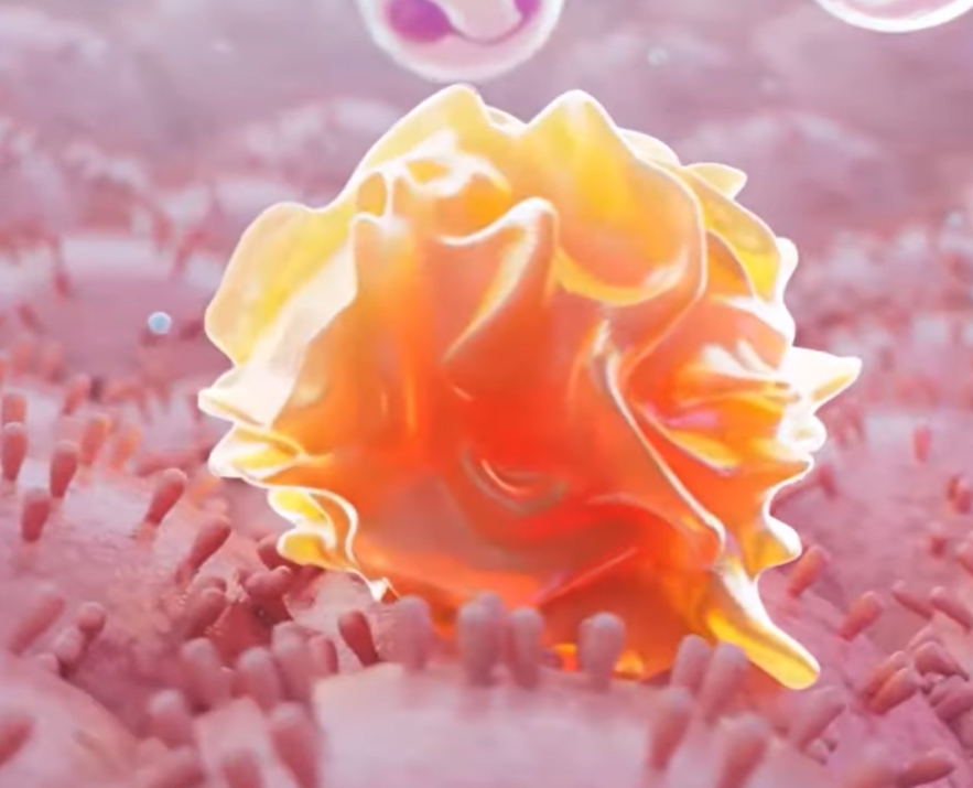 클라미디아 감염 경로