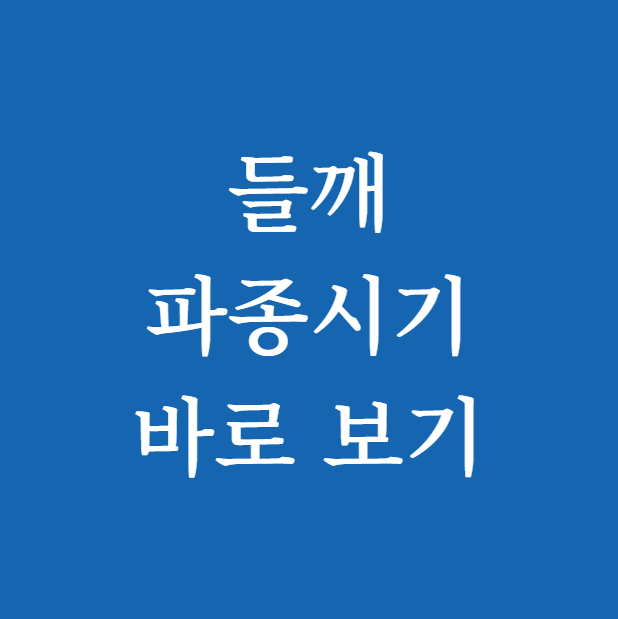 들깨 파종시기 썸네일