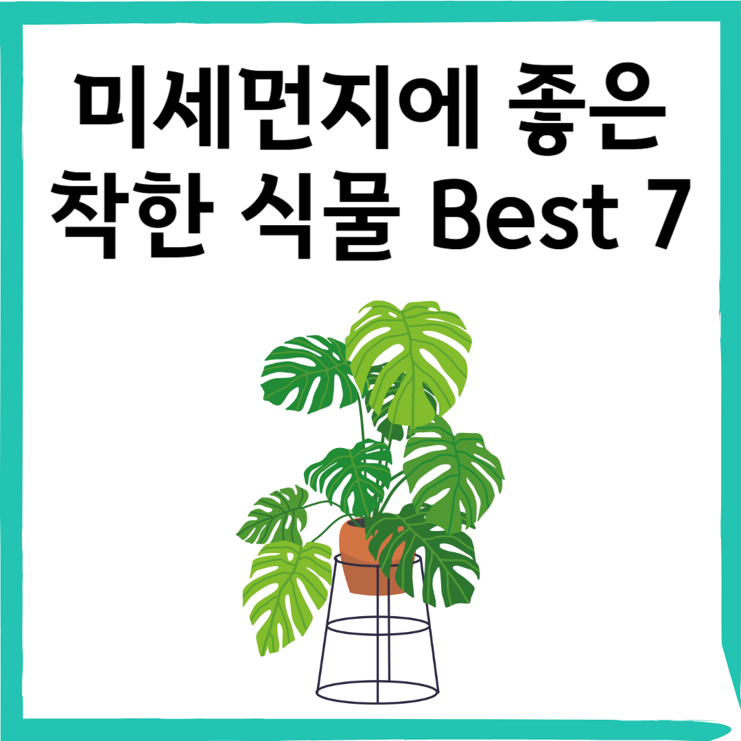 미세먼지 잡는 착한 식물 Best 7! 집 안 공기를 맑게 하는 공기정화식물 총정리