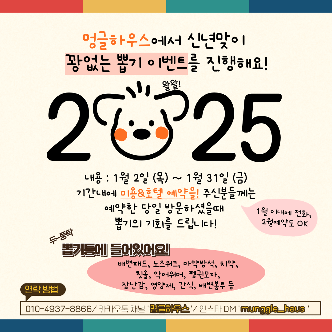 김포 사우동 애견미용 애견호텔