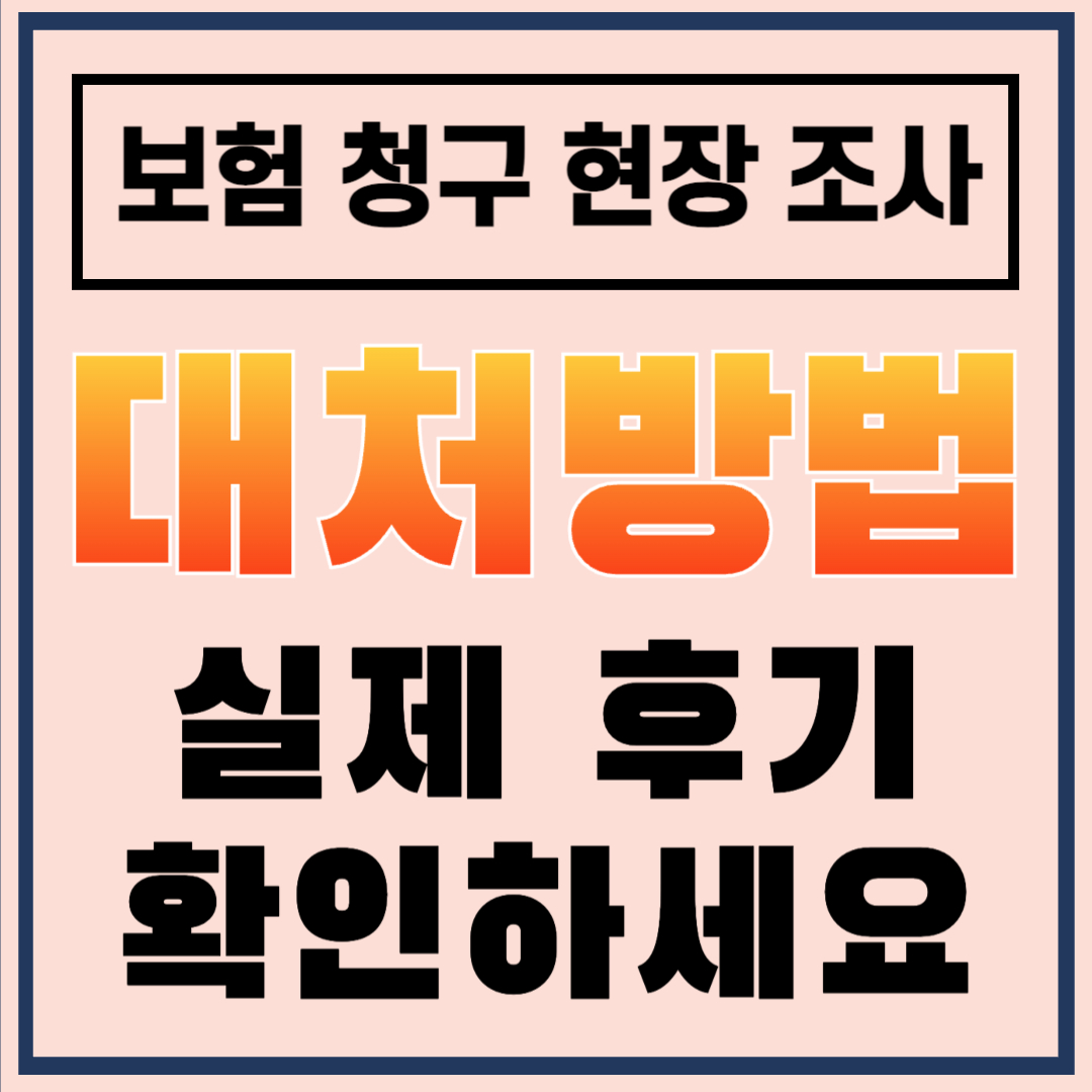 보험 청구 현장 심사