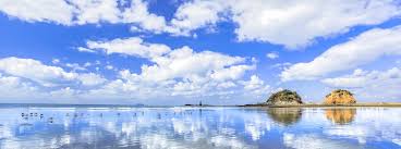 디지털 관광주민증 발급