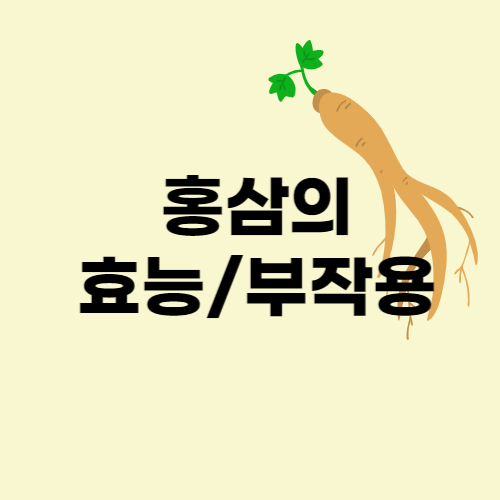 이미지 썸네일