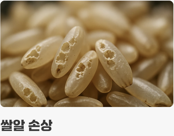 눈에 보이지 않는 진짜 위험