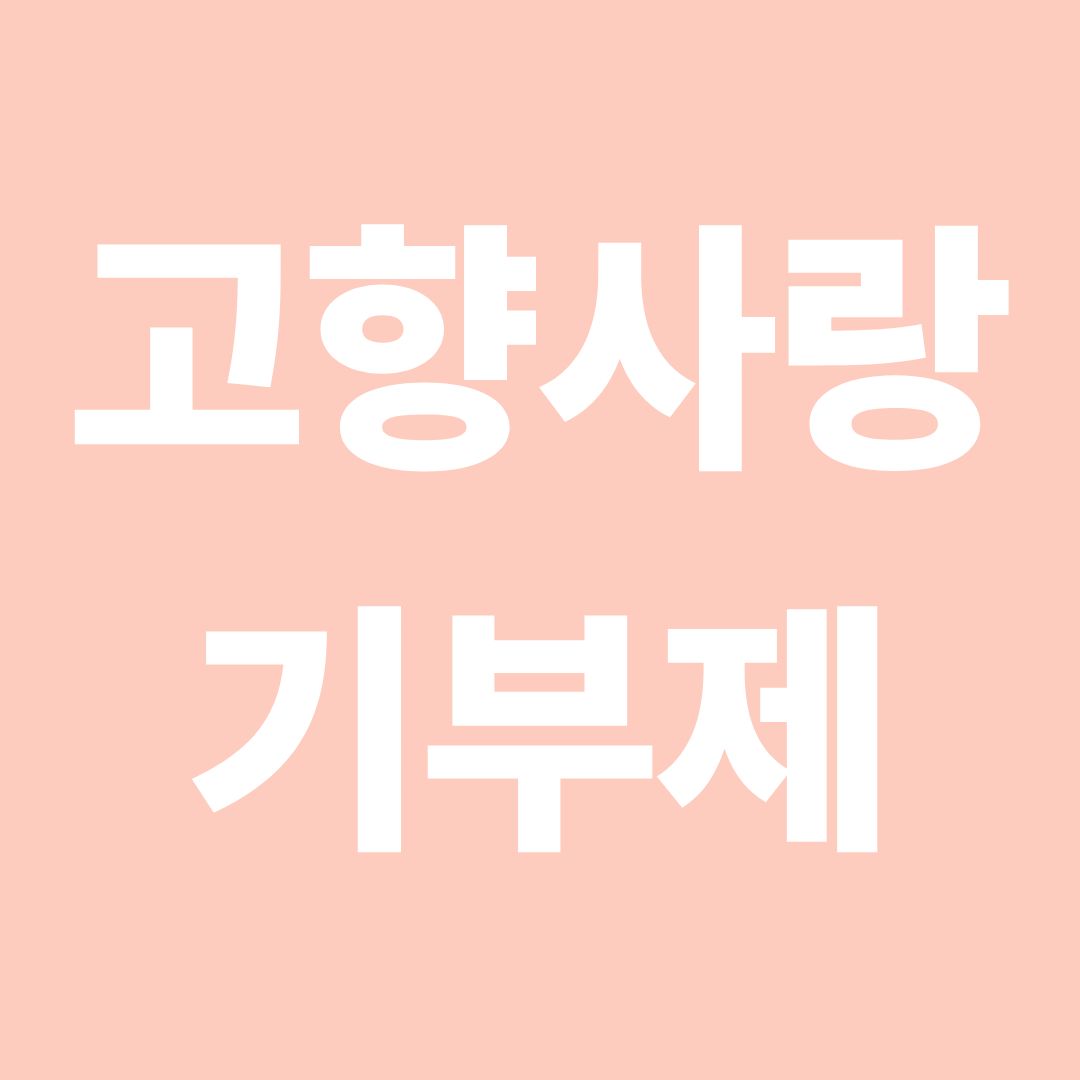 고향사랑기부제 세액공제