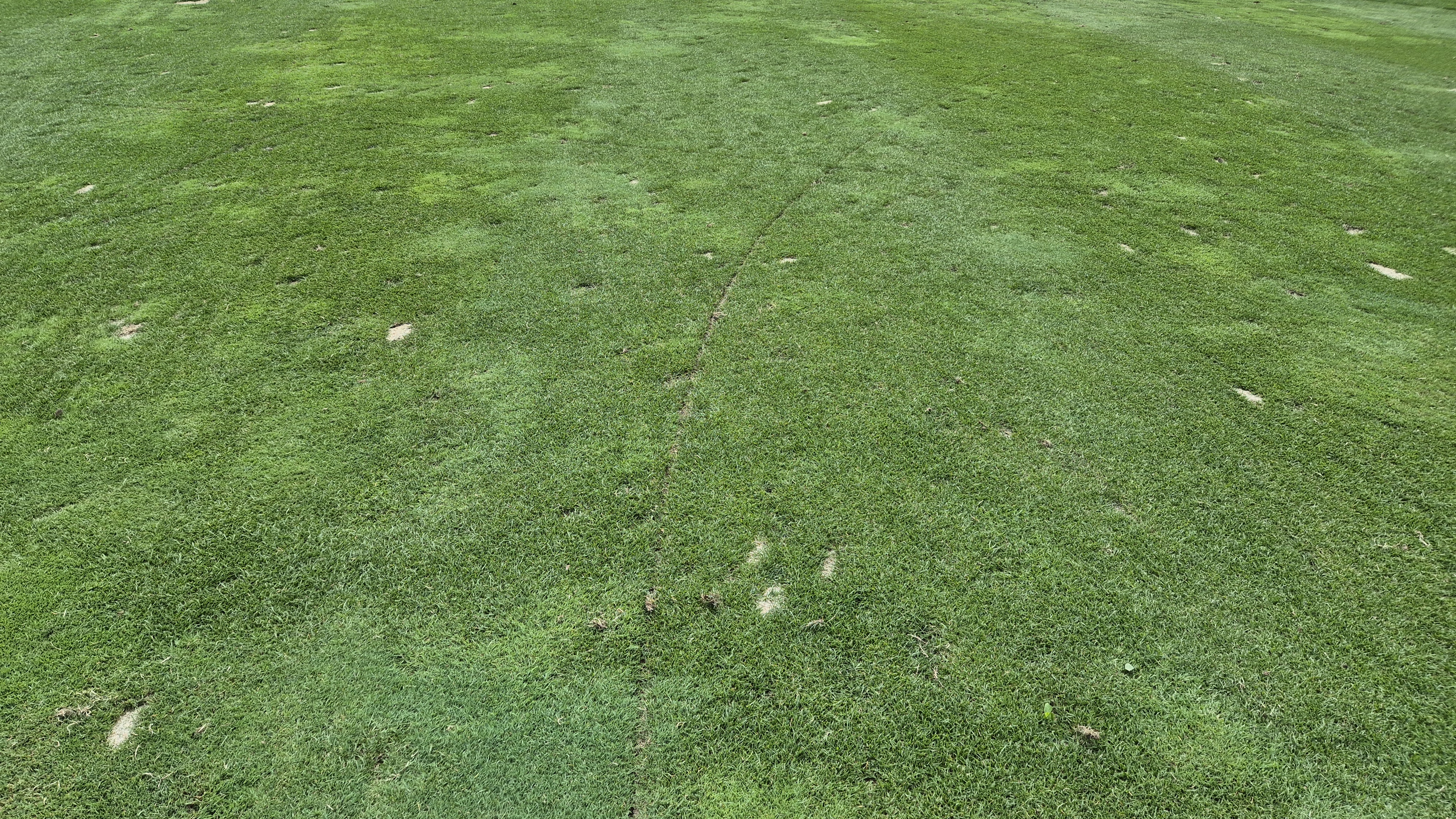 오너스gc 라운드 후기