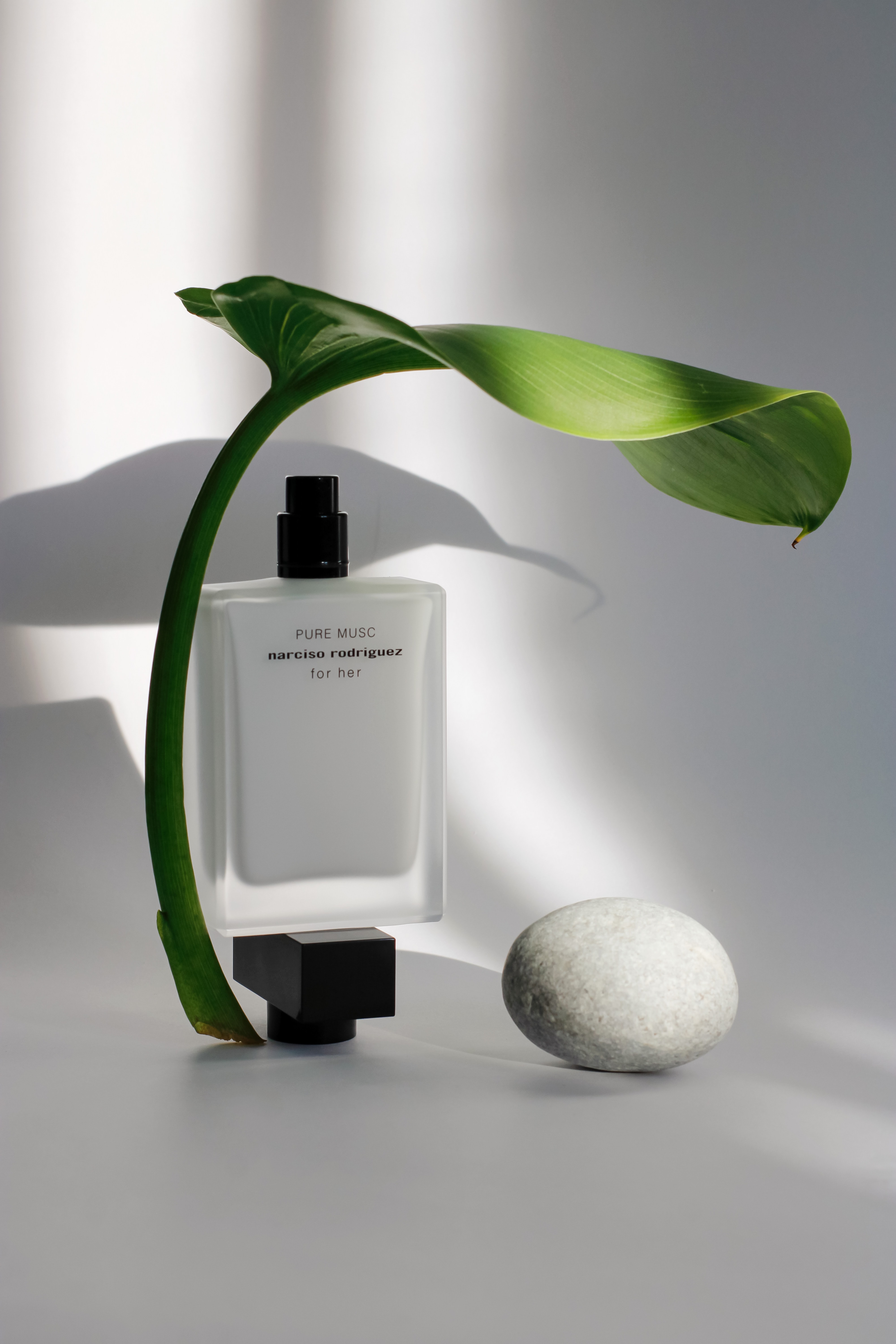 화장품책임판매업 변경