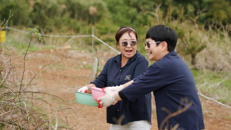 혜은이같이삽시다