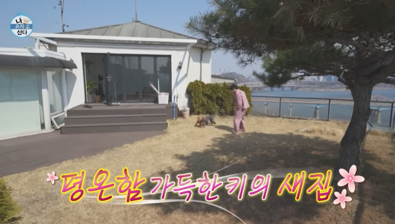 샤이니