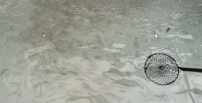 경주 양남 눈썰매장