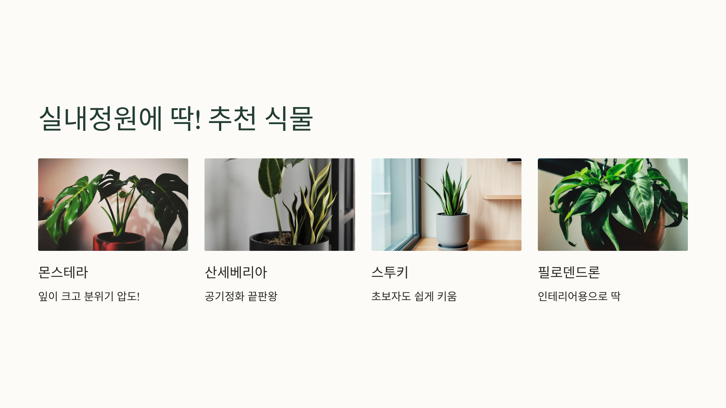 실내정원에 딱! 추천 식물