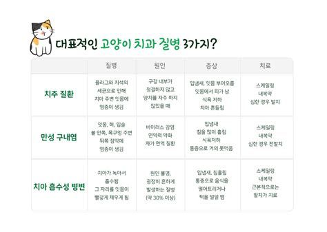 고양이 구내염