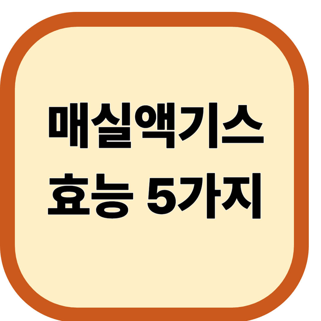 매실액기스 효능 5가지