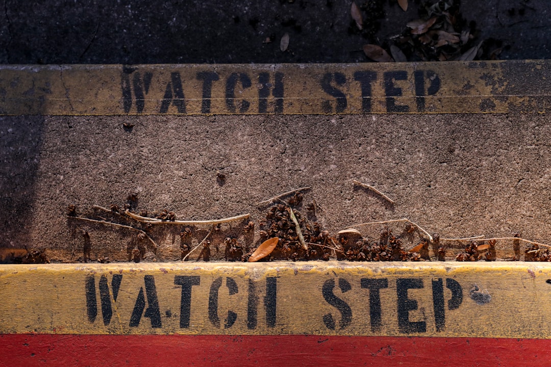Step