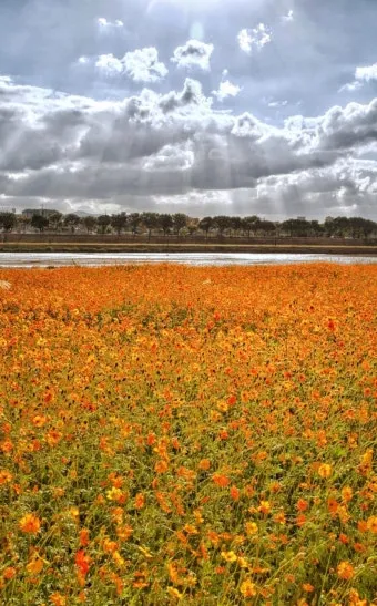 가을 경주 여행 가볼만한곳 베스트 10으로 정리_13