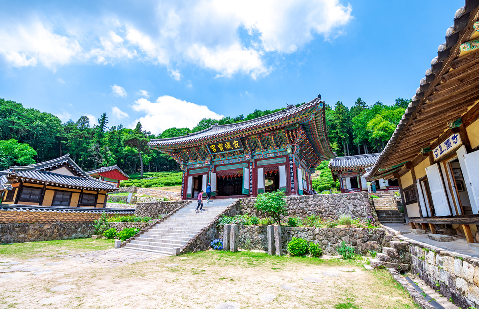 경남 사천 가볼만한곳 (다솔사)