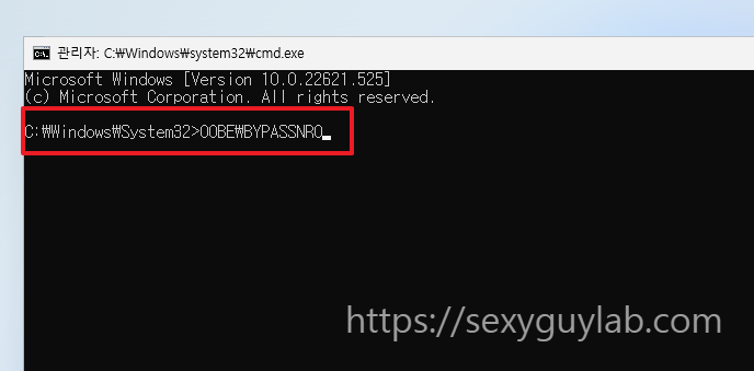 윈도우 11 설치 터미널창 명령어 입력 화면