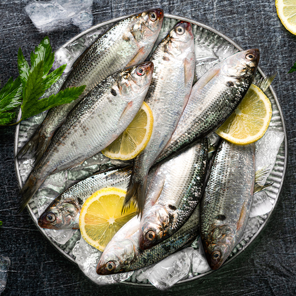 전어 효능 및 부작용