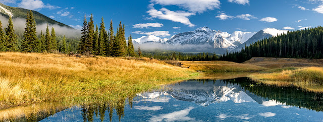 맑은 하늘 아래 눈 덮인 로키산맥이 멀리 펼쳐져 있고, 앞에는 소나무 숲과 황금빛 초원이 펼쳐진다. 고요한 물가에는 산과 하늘이 또렷하게 반사되어 평화로운 풍경을 연출한다.