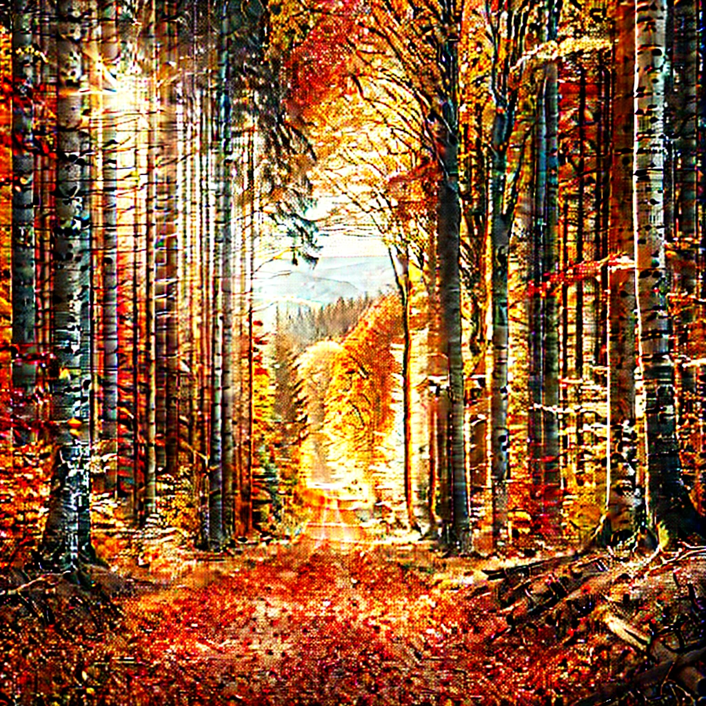 전국 가을 단풍 명소: 가족과 함께 걷기 좋은 숲길 추천