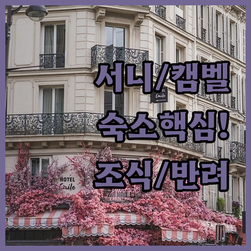 서니베일 캠벨 인기 숙소 5곳 추천 ..