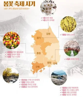 봄꽃 여행지 베스트10 벚꽃 유채 튤립 명소와 걷기 좋은 코스_21
