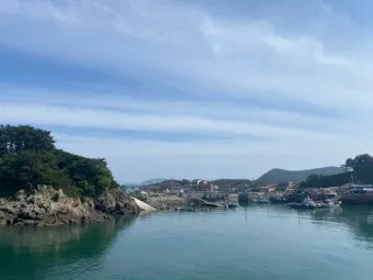대천 호도 배편 배시간표 예매 요금 예약_13