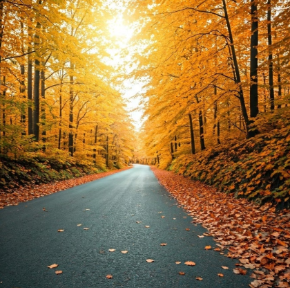 추석 추천 국내 드라이브 코스 BEST 5