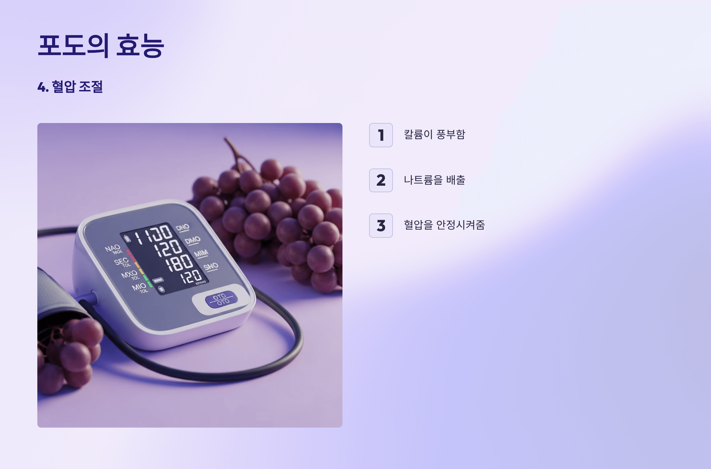 포도 사진입니다.