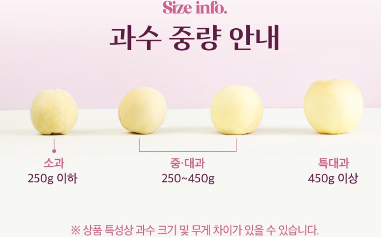 6시내고향-함양-설도-주문