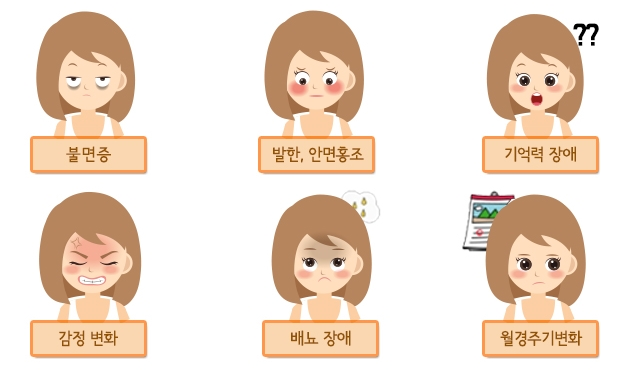 갱년기-증상