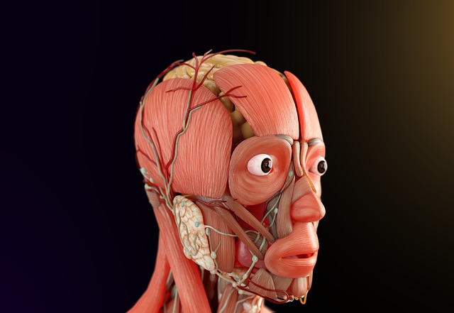 냉수욕이 자율신경계에 미치는 영향