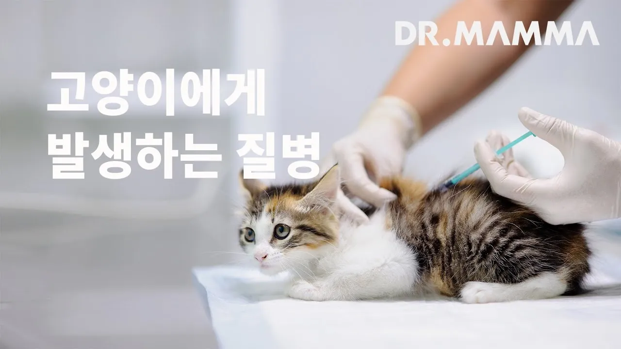 고양이 갑상선 기능 항진증 원인 증상 수치 관리법 총정리 정리자료_5