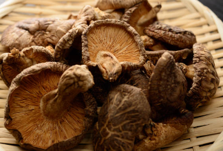 송이버섯 가격, 송이버섯 채취시기, 송이버섯 효능