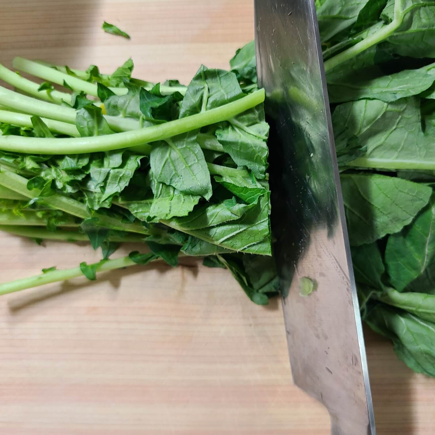 봄열무물김치 봄열무김치 봄 열무김치담그는법 봄 열무 파종시기 봄 열무 심는 시기 봄 열무김치 맛있게 담그기 봄 열무김치 봄 열무 재배 봄 열무김치 황금레시피 봄 열무 얼갈이김치 봄김치얼갈이 열무김치 열무김치 열무물김치 봄김치 봄여름제철 열무얼갈이김치 담그는방법