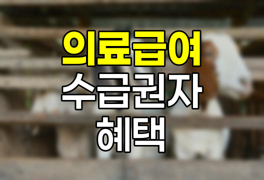 의료급여 수급권자 혜택과 신청 방법