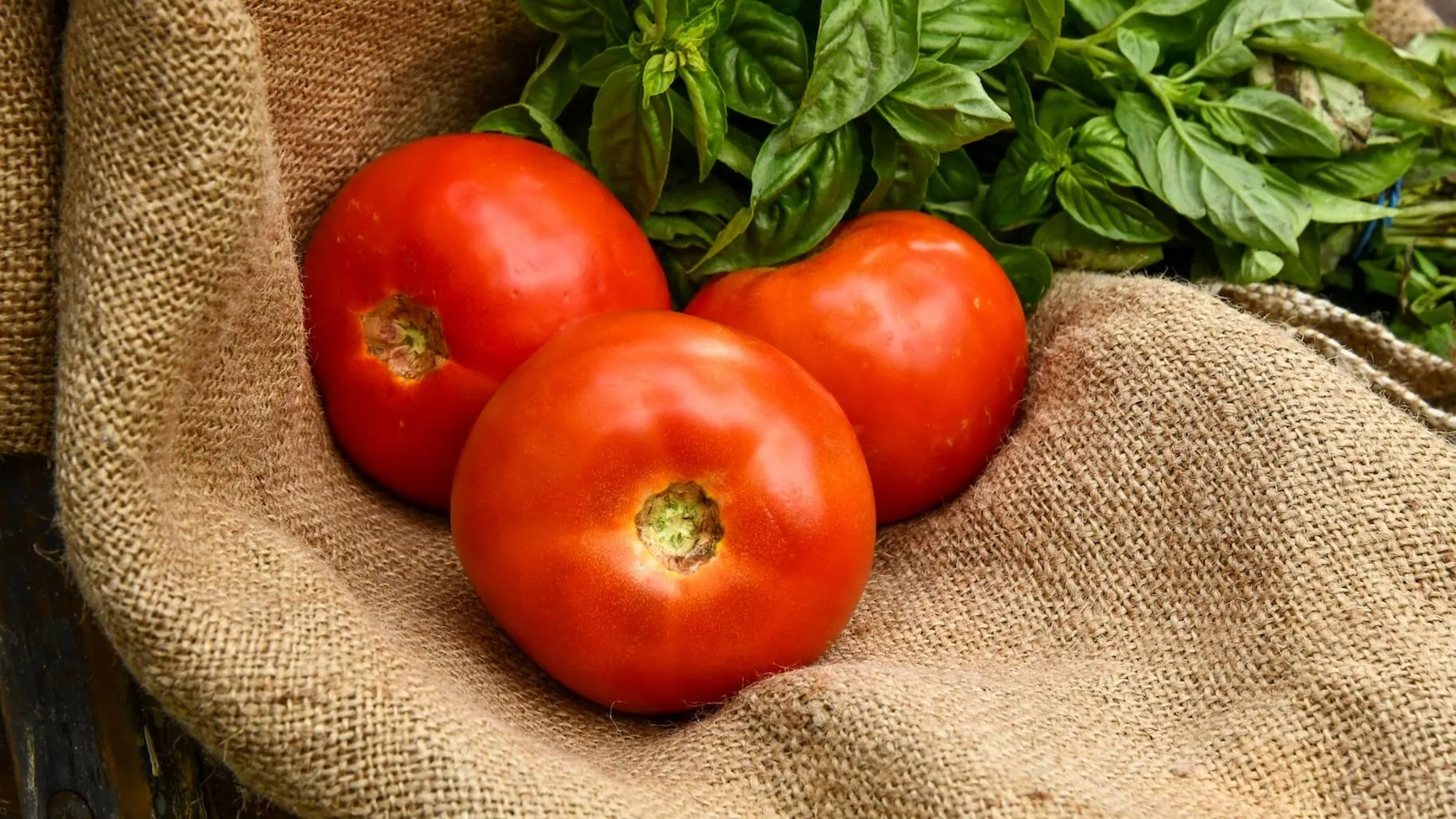 고혈압에 좋은 음식