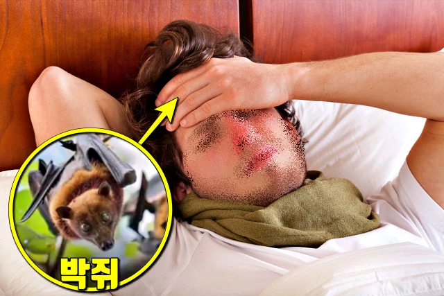 코로나 증상 두통,우한 폐렴 증상,건강