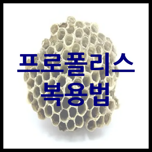 프로폴리스 복용법