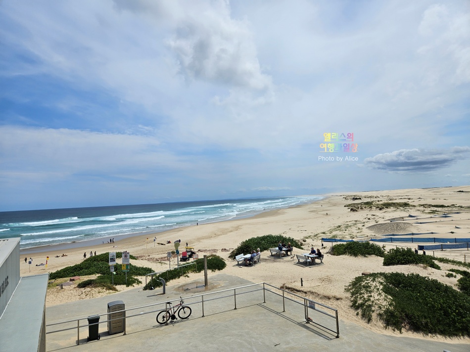호주 시드니 사막 포트스테판 투어 솔직후기 가격 코스 야생 돌고래 크루즈