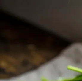 이명에좋은음식 이미지