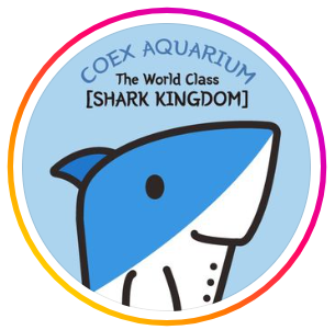 [당일치기] 코엑스 아쿠아리움 레고 테마존 오픈안내