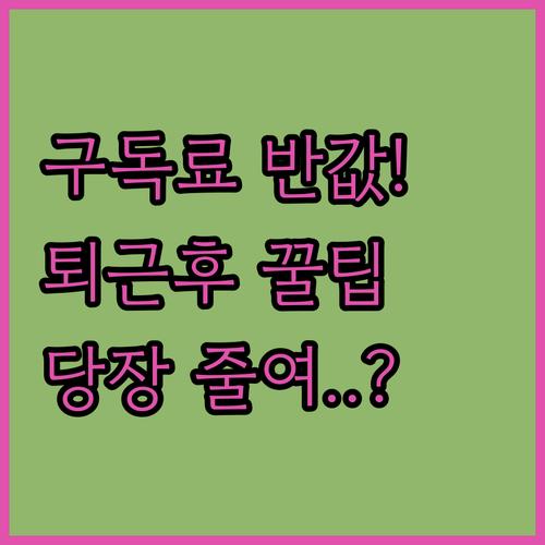 퇴근 후 즐기는 완벽한 시청 경험을 ..
