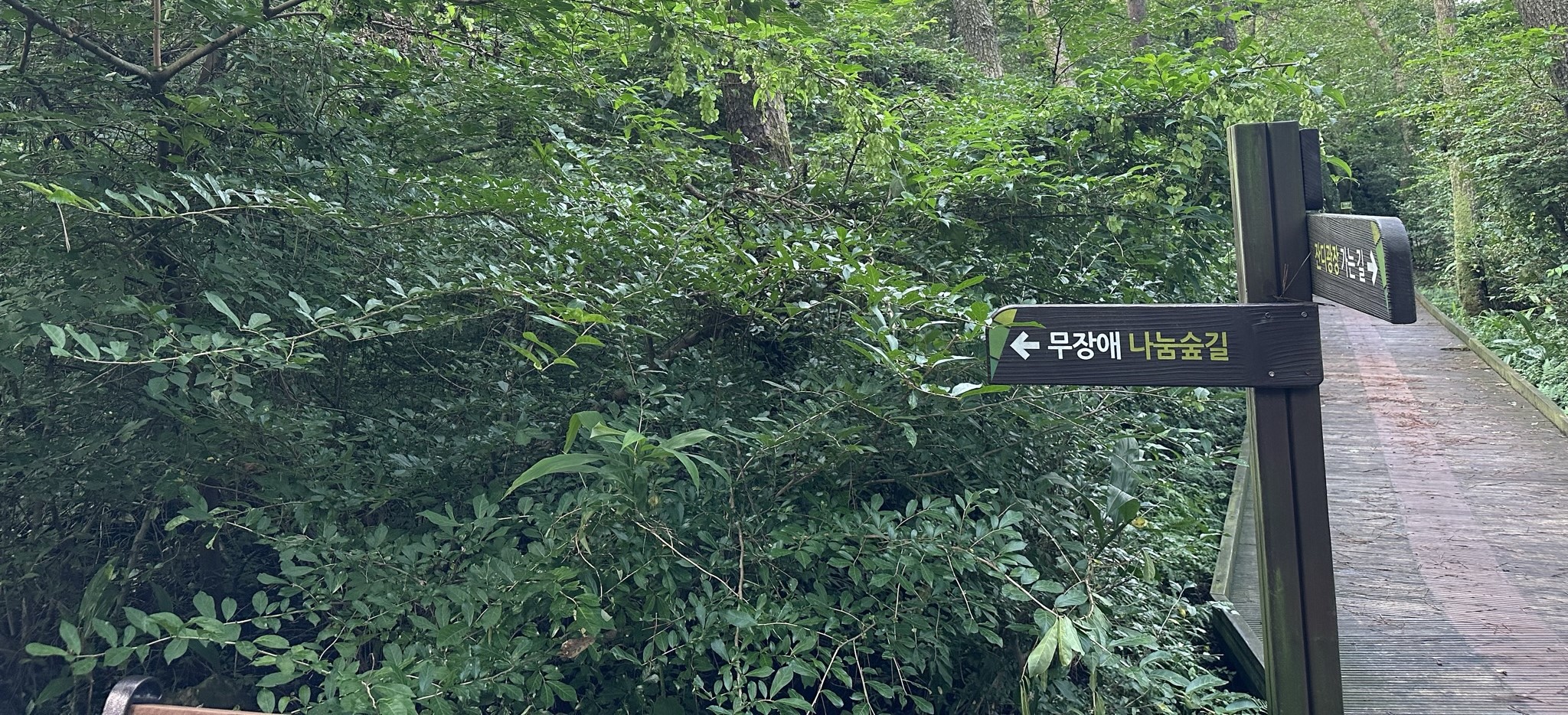 무장애 숲 산책로
