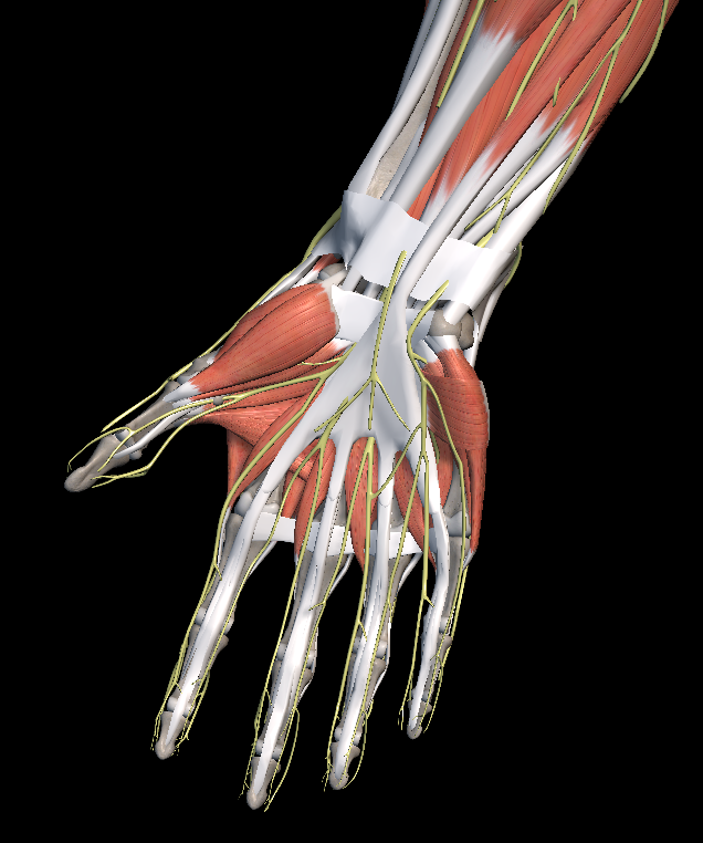 엄지 손가락 통증 원인