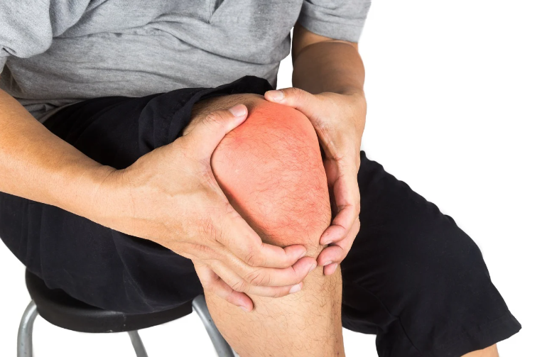 달리기할 때 관절과 근육은 어떻게 협력할까?