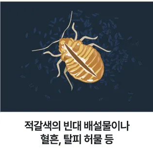 빈대 퇴치제